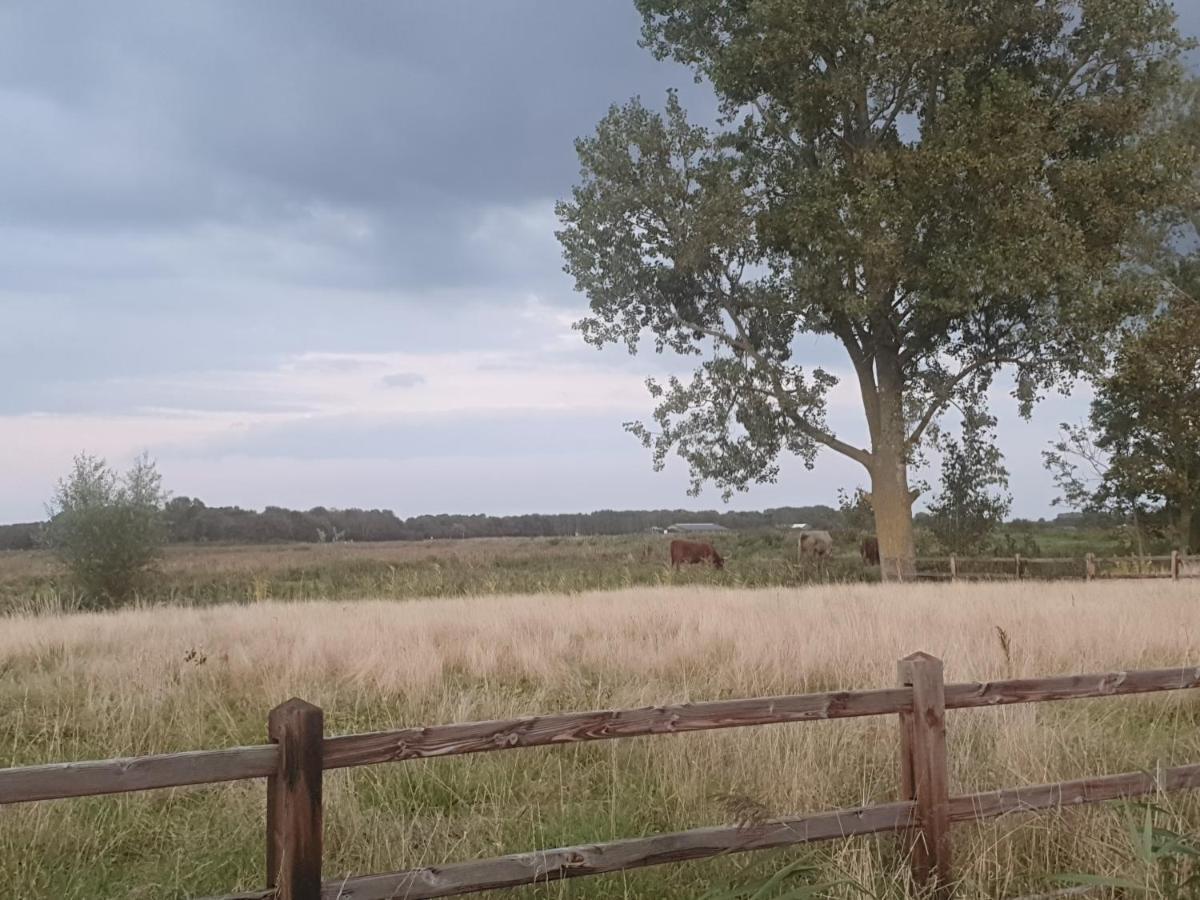 Cottage Geestmerambacht, Een Nieuw Vrijstaande Sfeervol En Landelijk Gelegen Vakantiewoning Koedijk Exteriör bild